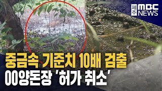 가축분뇨 무단 배출 양돈장 '허가 취소'