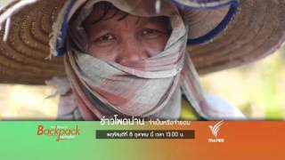 พลเมืองข่าว BY BACKPACK JOURNALIST  : \