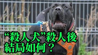 世界上被“禁養”的5大猛犬，“殺人犬”殺人後，結局如何？