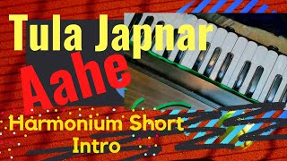Tula Japnar Aahe | Harmonium Short Intro | #KhariBiscuit | LD91