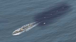 Seismic airgun testing: U.S. to decide this year whether to allow controversial practice