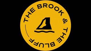 The Brook & The Bluff - Everything Is Just A Mess (Official Audio)