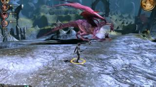 Dragon age origins - Tactics to defeat high dragons / nightmare / no pause