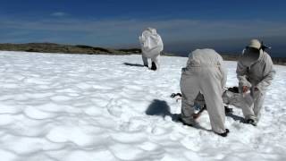 Treino de Forças de Operações Especiais - Serra da Estrela