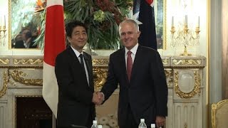 Australia 'disappointed' at Japan whaling: Turnbull