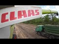 Уборка Рапса 2023 Комбайн claas leion 750