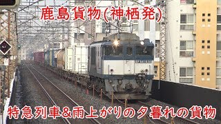 特急列車集大宮・雨上がりの夕暮れの貨物南浦和～華やかな感じだった～