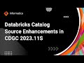 Databricks Catalog Source Enhancements in CDGC 2023.11S