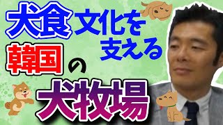 韓国の犬食用の養犬場がヤバい！韓国人の若者でも気持ち悪がる犬食の実態とは【奥山真司切り抜き】