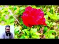 surah rahman by qari nadeem yousuf سورہ معارج beautiful recitation edited u00267269