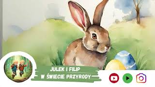 #7 Wielkanocny zając | Audiobajka dla dzieci | Przyrodnicze Audiobajki