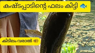 കുറച്ചു കഷ്ടപ്പെട്ടാലും സംഭവം പൊളിച്ചു🔥കിടിലം വാരൽ🔥🐠#reels #fishing #fishingvideo