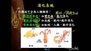 11101選修生物三ch2 2 03消化系統的類型(二恭)