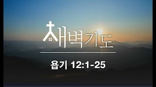 [포항큰숲교회] 2023.11.16.  새벽기도