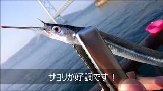 fishingmax 垂水店 9/20アジュール舞子