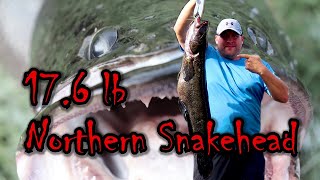 17.6lb Invasive SNAKEHEAD Fish Kayak Fishing the Potomac River (Monster Frog Blowup)