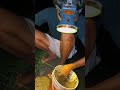 vlog jidan ibrahim cari belut sawah. part 205 shorts viral vlog sawah mancing