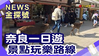 日本名花大賞  |奈良公園 東大寺 靜岡熱海梅園 靜岡小丸子樂園 鎌倉高校前車站 鎌倉大佛【News金探號】