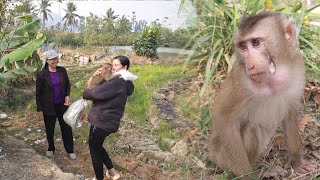 Lambo Monkey was happy and hugged tightly when he saw Mom Dung return.