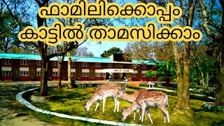 Forest Stay For Family | Budget Jungle Lodge Stay | KtDC Periyar House Thekkady #thekkady