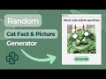 Random Cat Fact and Picture Generator | Python Tutorial