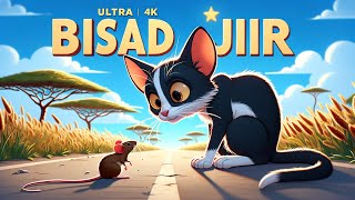 Bisad iyo Jiir |Tom and Jerry Afsoomaali | Sheeko | 4K