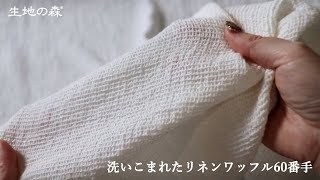 IN50256 生地の森 | 洗いこまれたリネンワッフル60番手