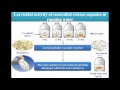 toxicity larvicides released from chitosan capsules against c. pipiens video abstract 108881