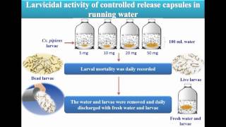 Toxicity larvicides released from chitosan capsules against C. pipiens - Video abstract 108881