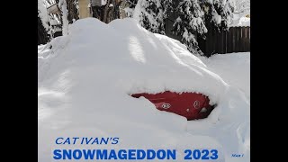 Snowmageddon 2023