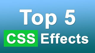 Top 5 CSS Effects for Website in 2020