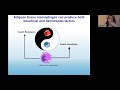 myriam aouadi. role of macrophages in the regulation of metabolism beyond inflammation metphys2020