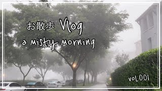 【お散歩Vlog】早朝霧中散歩 in サンディエゴ USA/アメリカ引きこもり生活