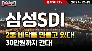 삼성SDI-2중 바닥을 만들고 있다! 30만원까지 간다!