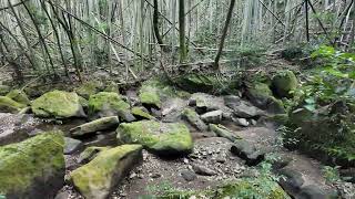 【慈眼寺公園 | かごしま自然百選】清らかな渓流と豊かな緑が広がる自然遊歩道  鹿児島市の指定文化財・慈眼寺跡周辺に広がる公園  2025.1.5