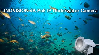 LINOVISION 4K Ultra HD PoE IP Underwater Camera