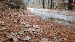[4K] 겨울 산속 낙엽에 떨어지는 빗소리 l 수면 유도 l 백색소음 ASMR l 갤럭시 S10 5G