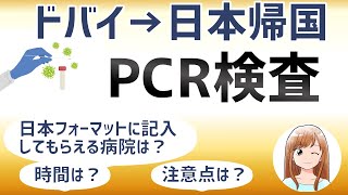 ドバイから日本帰国　PCR検査 体験記　(日本政府指定フォーマットの陰性証明書)