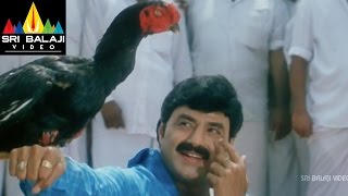 Palanati Brahmanaidu Movie Chittimallu Fight | Bala Krishna, Sonali Bendre | Sri Balaji Video