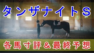 タンザナイトS 2021 - 出走各馬寸評＆最終予想