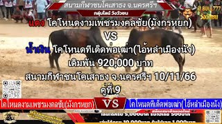 คู่ที่ 9 สนามกีฬาชนโคเสาธง จ.นครศรีฯ 10/11/66 🔴#โคโหนดงามเพชรมงคลชัย vs 🔵#โคโหนดทีเด็ดพ่อเฒ่า