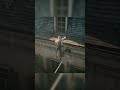 assassin s creed unity epic parkour moments assassinscreed unity parkour gamer acunity