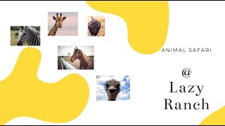 Lazy 5 Ranch | Animal safari | A drive through Experience