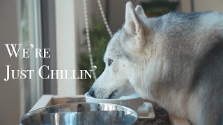 【4K】We Just Chillin' | Cinematic Vlog