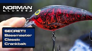 Norman Speed N Crankbait in the Bassmaster Classic! (Stetson Blaylock 3rd Place Finish)