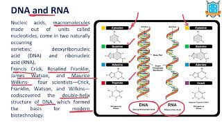 What is the meaning of DNA and RNA ? || DNA and RNA అంటే ఏమిటి? || La Excellence