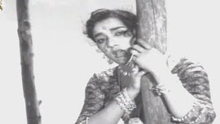Godari Gattundi Video Song || Mooga Manasulu Movie Full Songs || ANR, Savitri, Jamuna