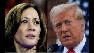 Trump vs Harris | Who is better for India-US ties?