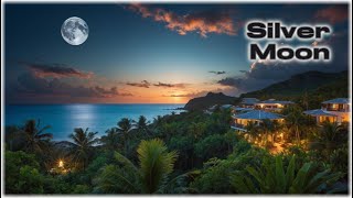 Tropical House 🎵 Silver Moon - Positive Energy to Relax, Work, Have Fun - Enjoy!