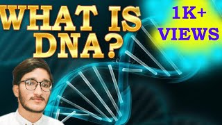 What is DNA |ITS FUNCTIONS AND IMORTANCE IN LIFE | URDU | HINDI | Biology fun by zaini |